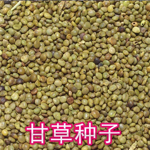甘草